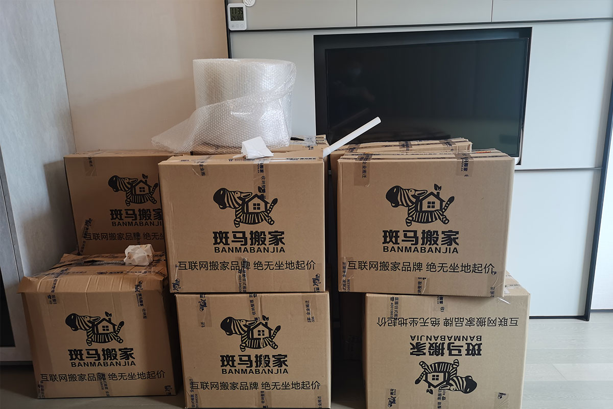 1668592358139026.jpg B3.jpg